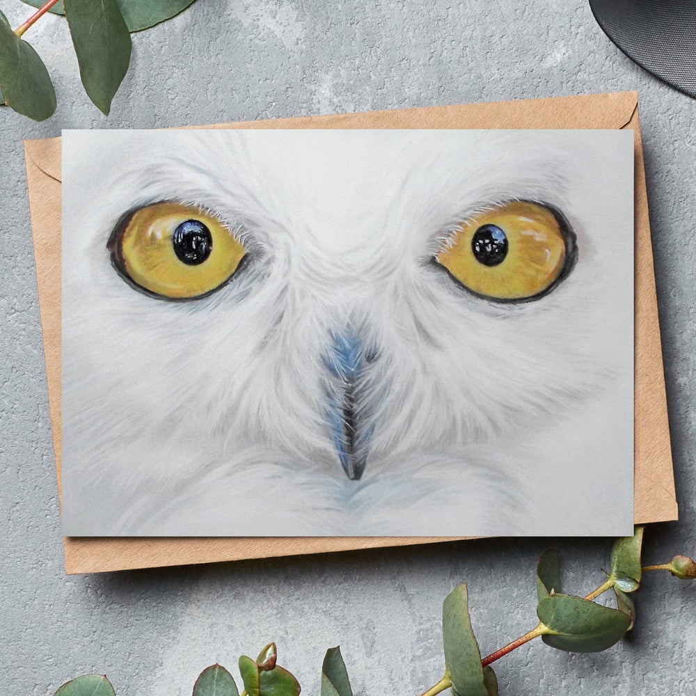 white owl fine art greeting card