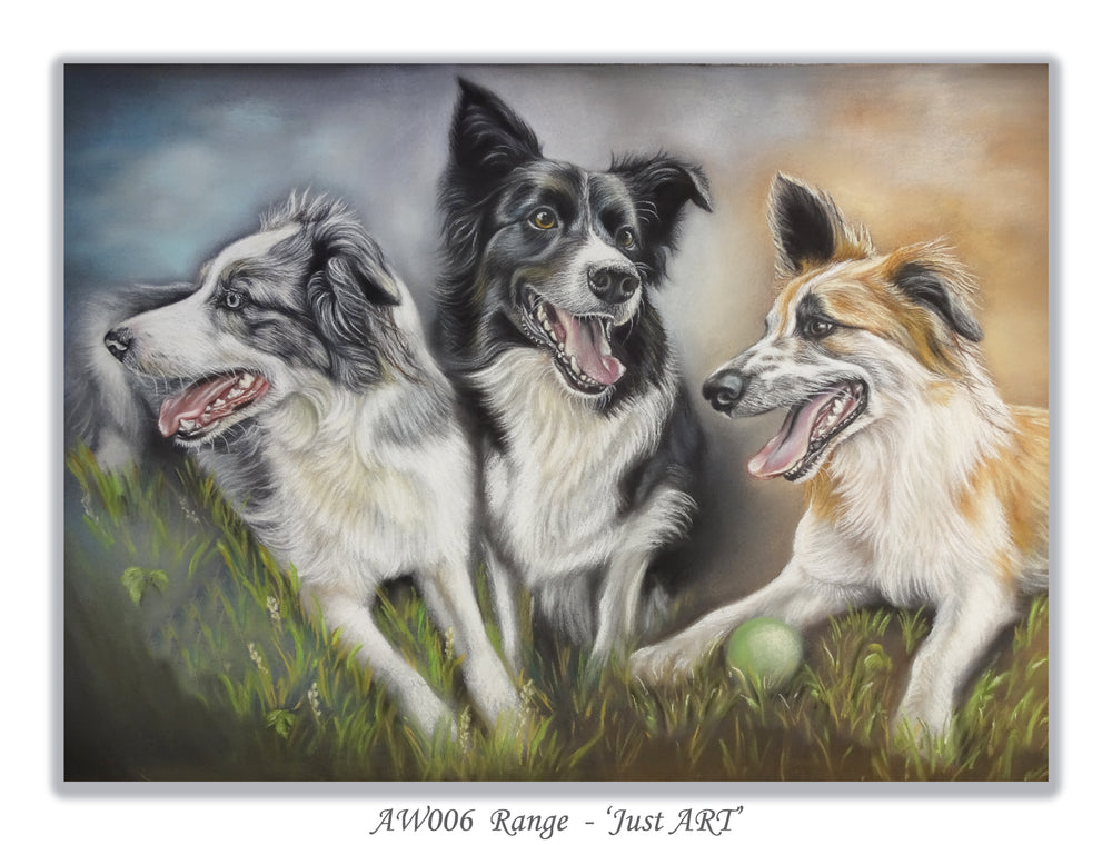 border collie greeting card