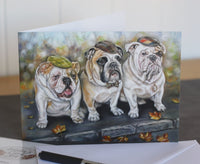 bulldogs card