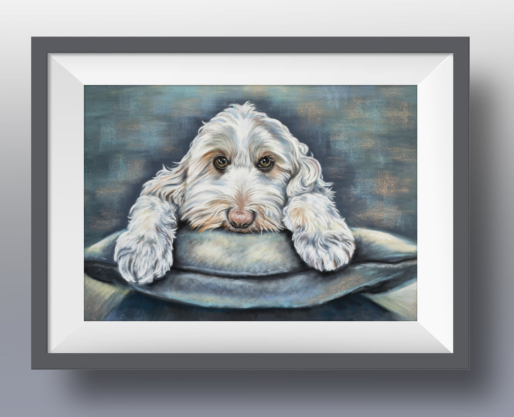 Labradoodle fine art print