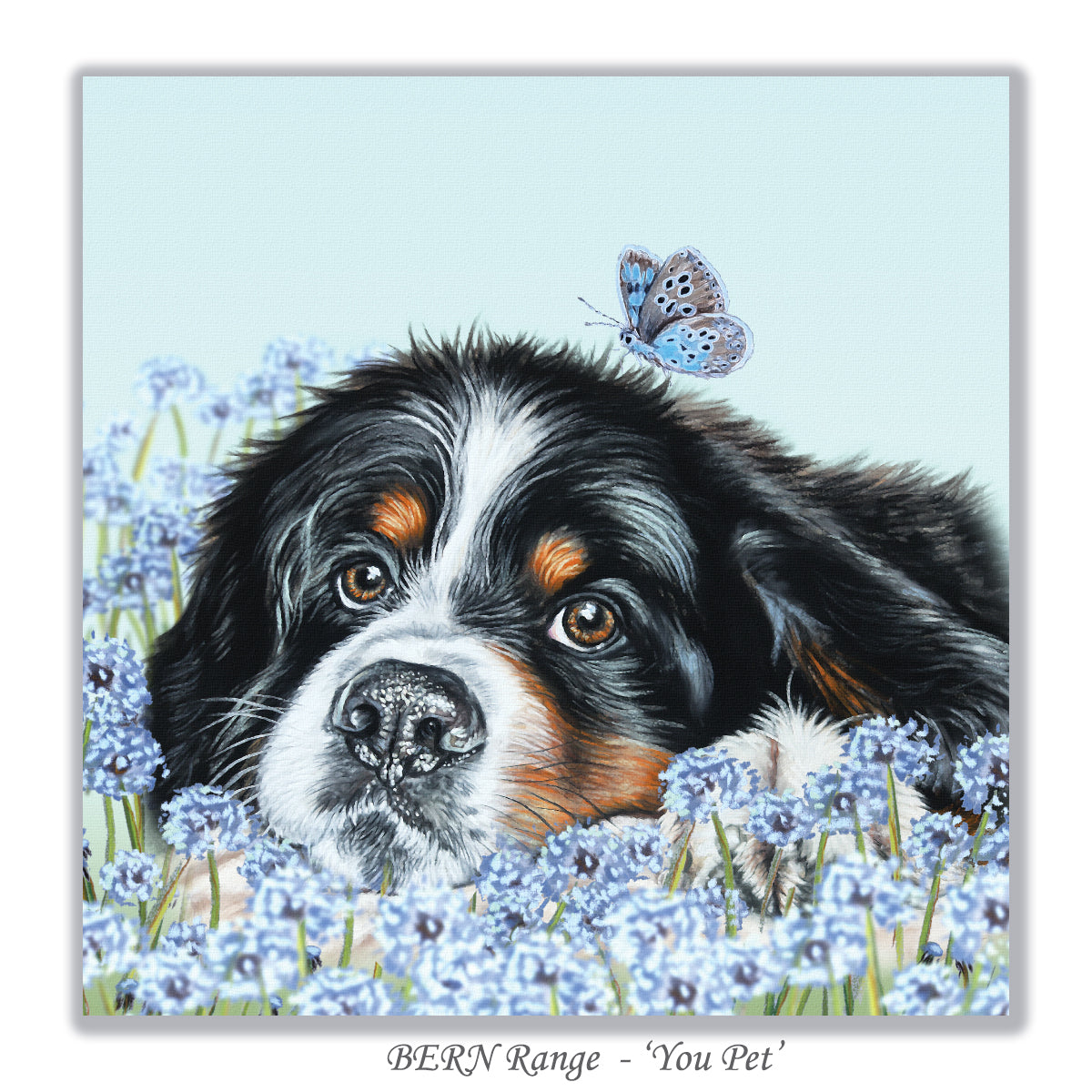 bernese dog card