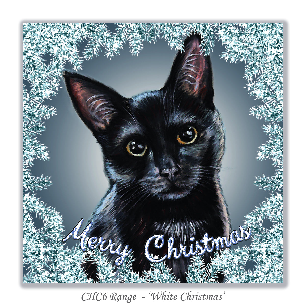 black cat christmas card