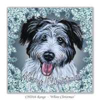 Bearded Collie christmas card