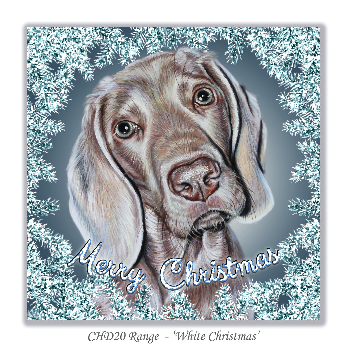 christmas card with weimaraner