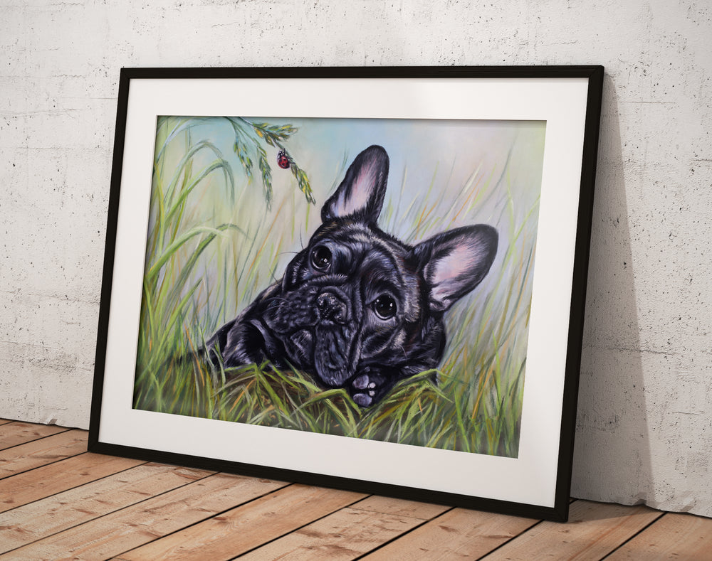 French bulldog fine art print