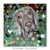 christmas card weimaraner dog