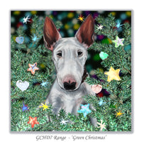 christmas card bull terrier