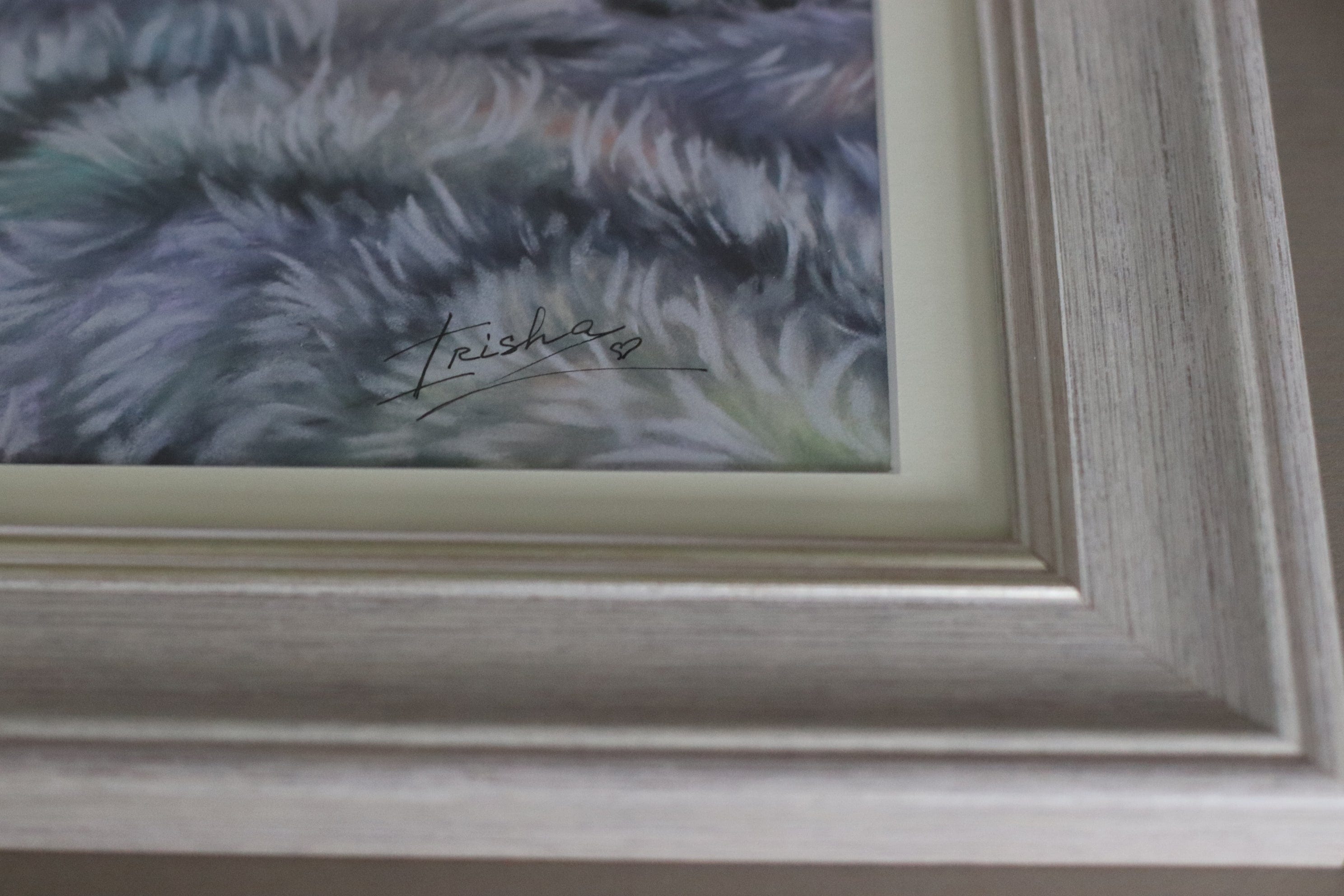 Framed & Signed Print 'Silver'