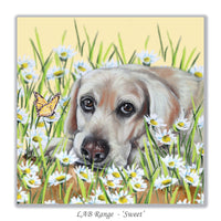 cute dog greeting card