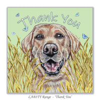 labrador retriever card