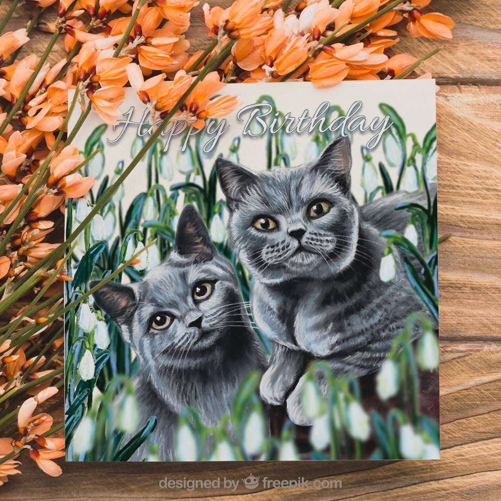 British Blue cat card