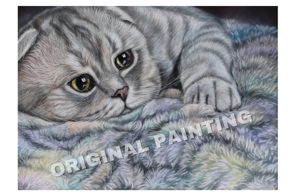fine art cat print