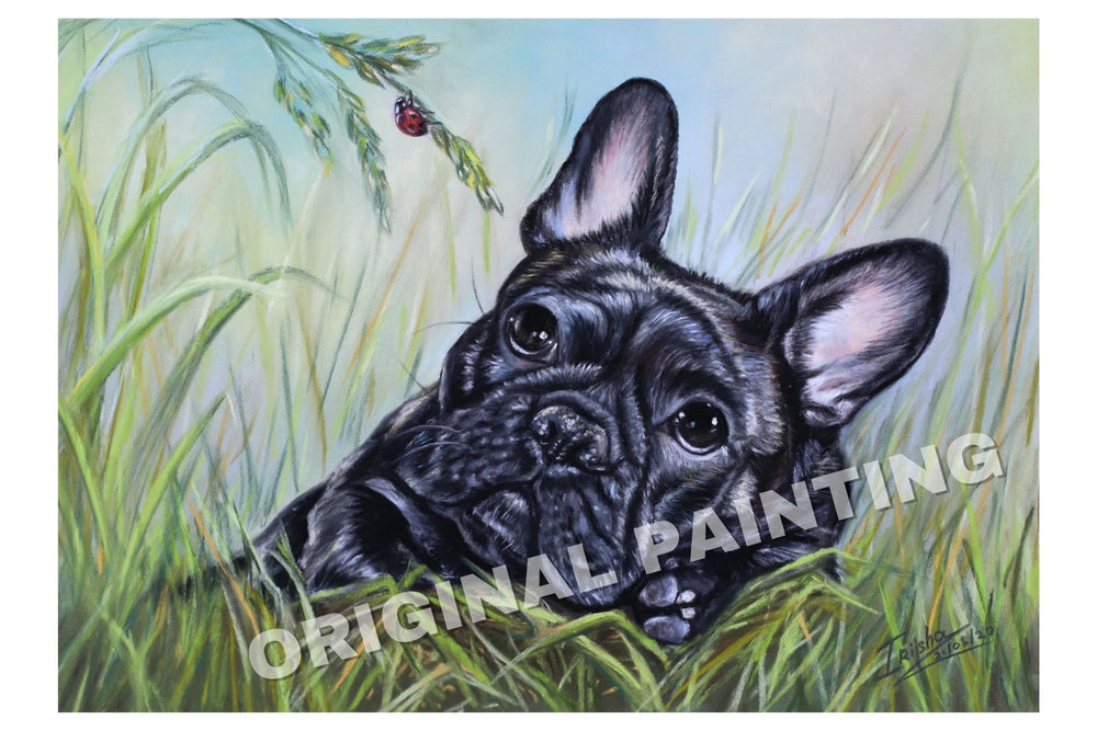 french bulldog art