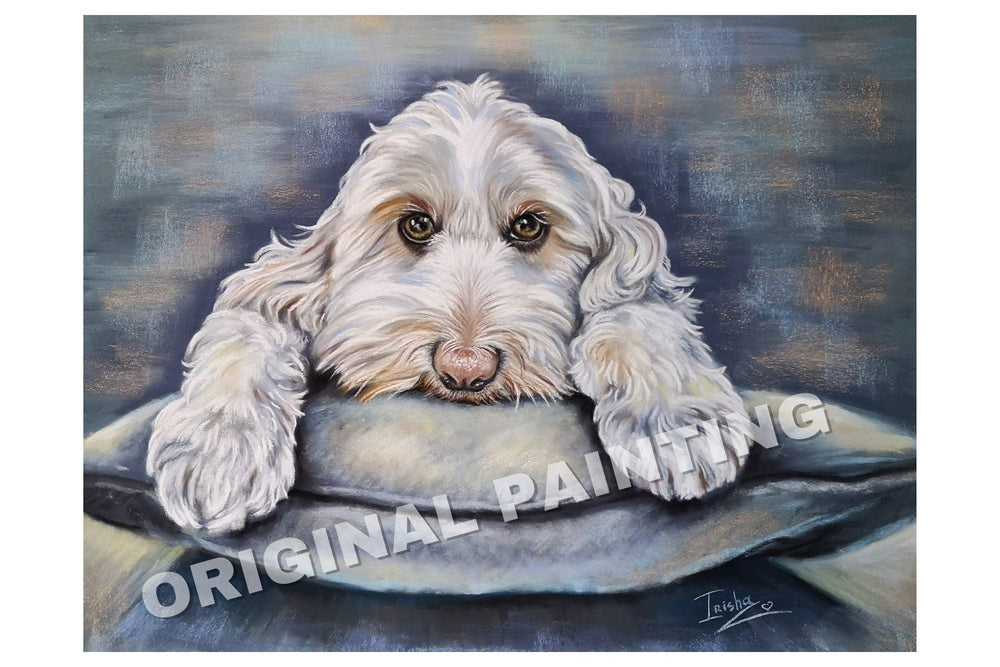 Framed & Signed Print 'Archie'