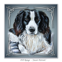 greeting card spaniel