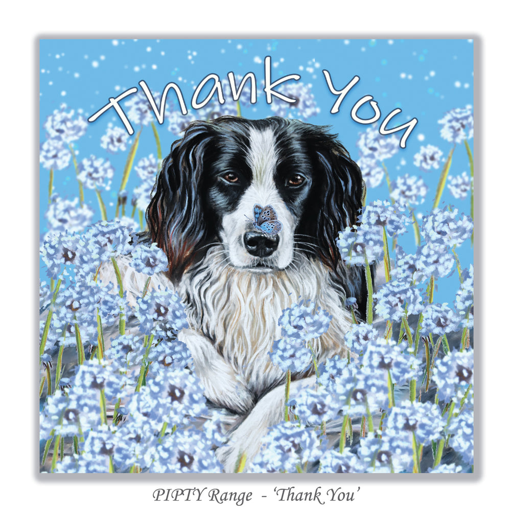 springer spaniel card