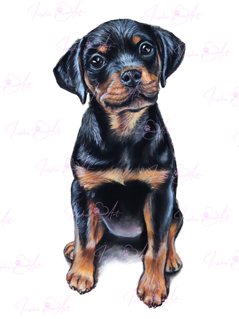 Rottweiler puppy