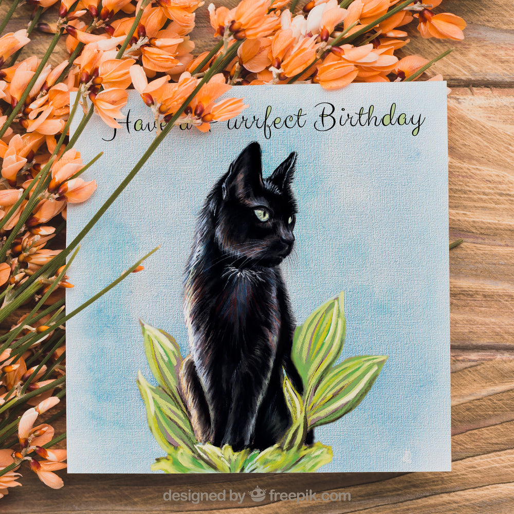 black cat birthday card