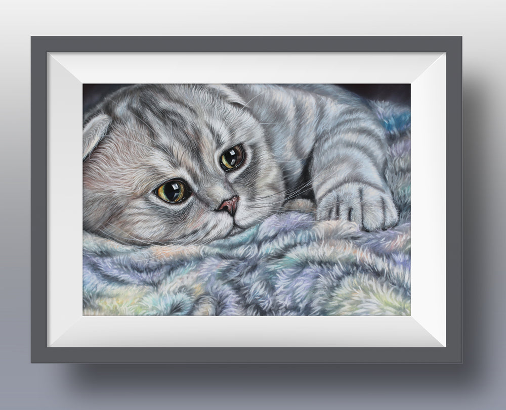 scottish fold cat art print