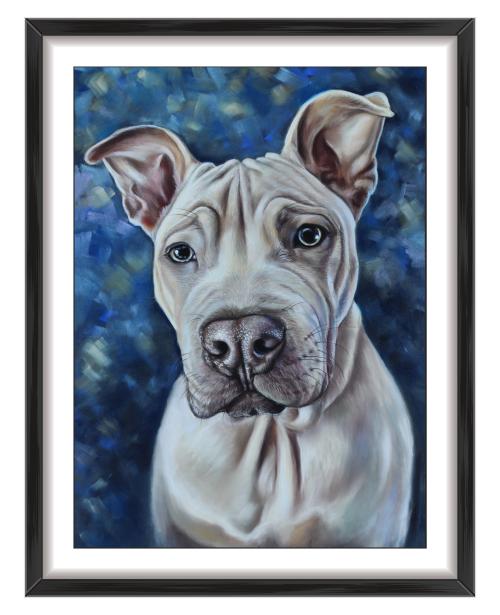 beautiful pet portraits