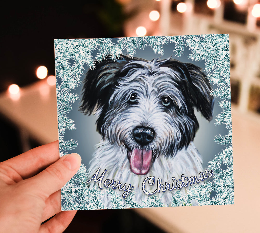 Bearded Collie Christmas Card