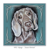 greeting card weimaraner