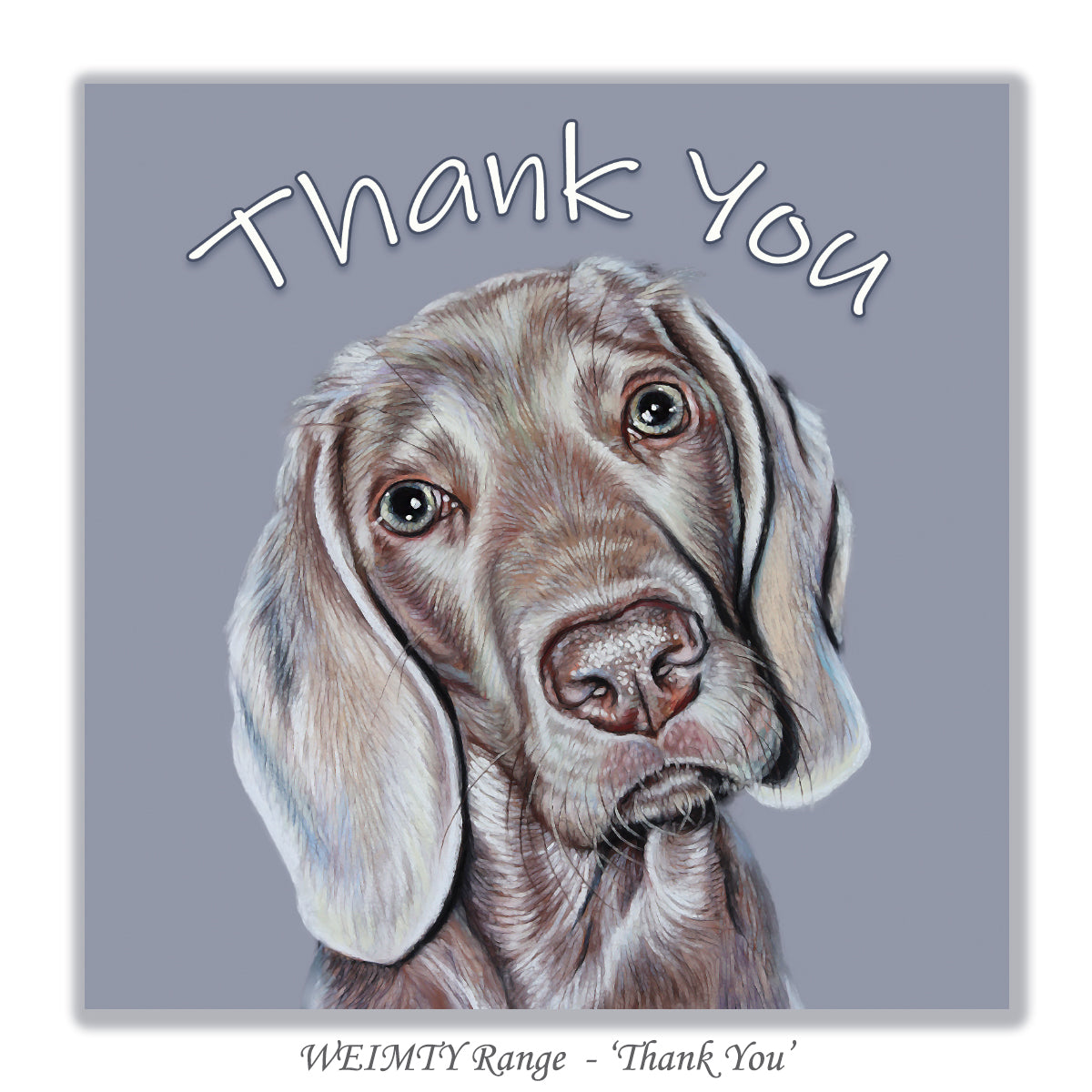 weimaraner card thank you