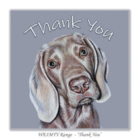 weimaraner card thank you