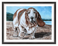dog custom portrait of Basset Hound