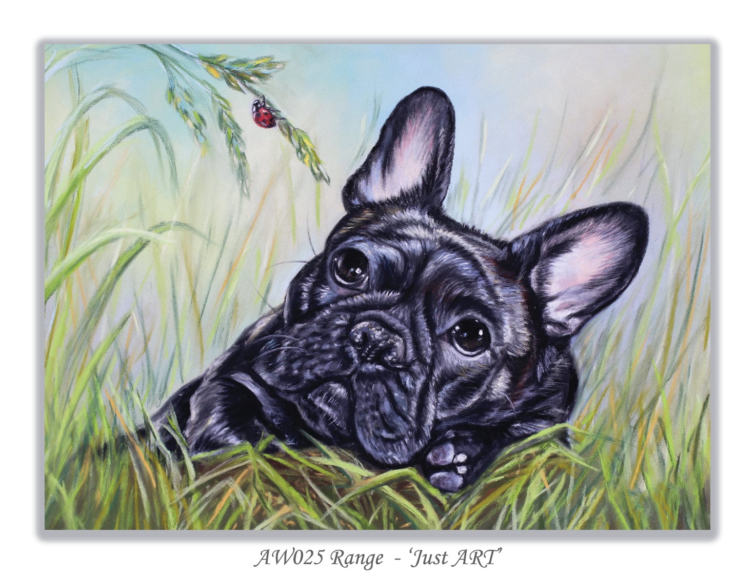 black french bulldog card