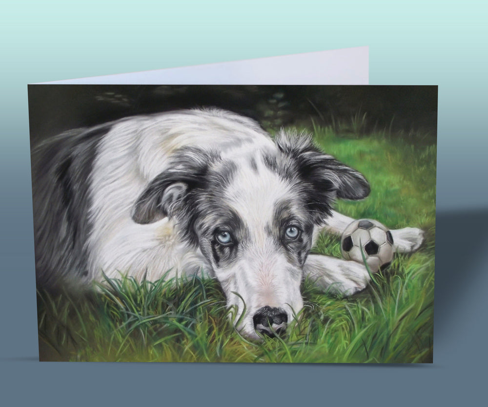 blue merle border collie card