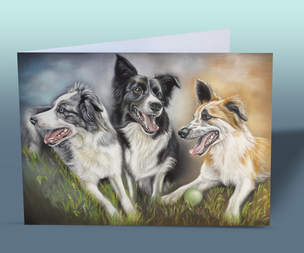 border collie card