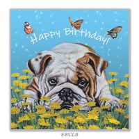 Bulldog Birthday Card