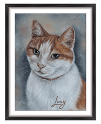 commission custom cat portrait uk