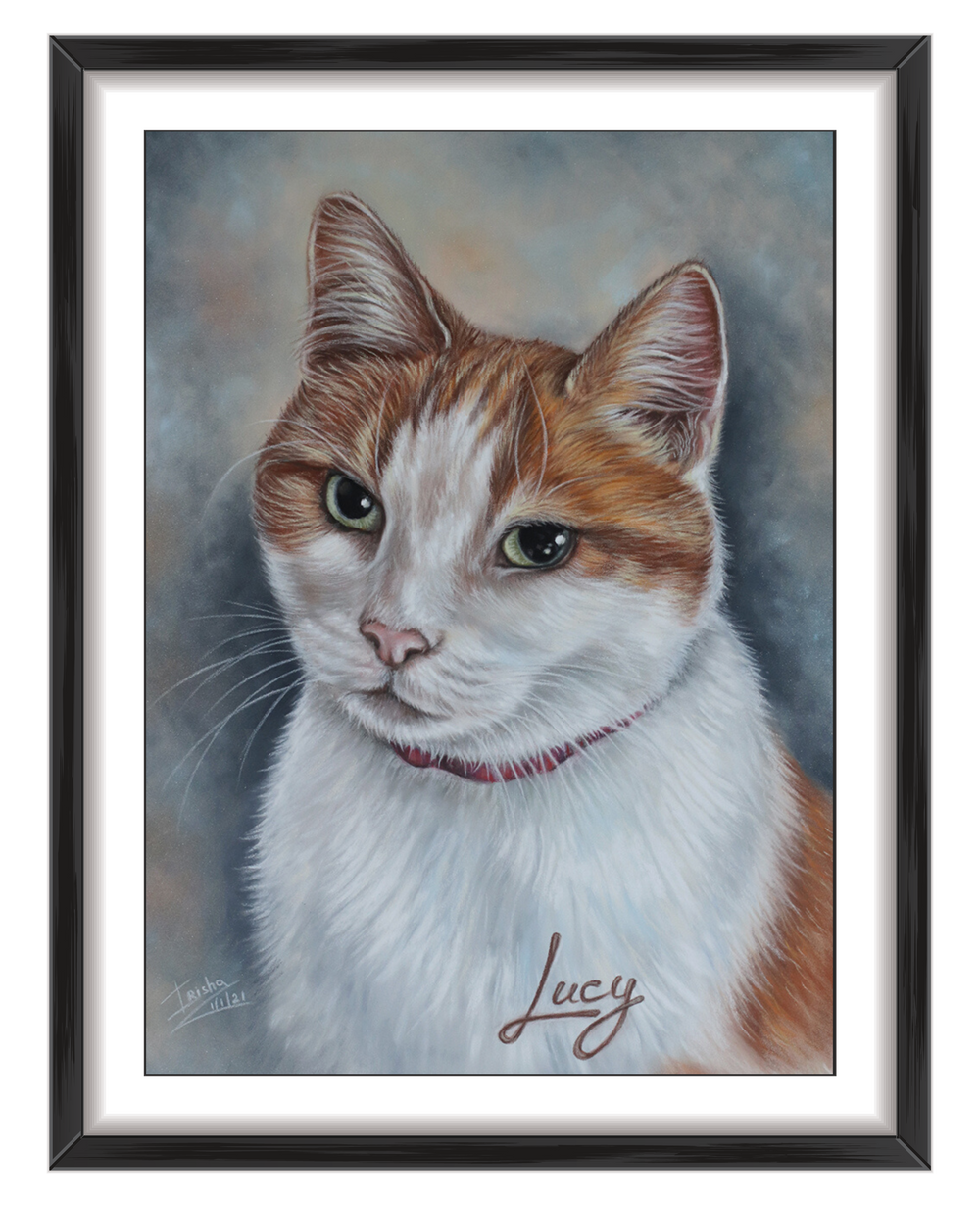 commission cat portrait uk