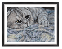beautiful cat portraits uk