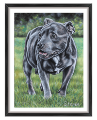 custom dog portrait of Staffy by professional pet artist Irisha