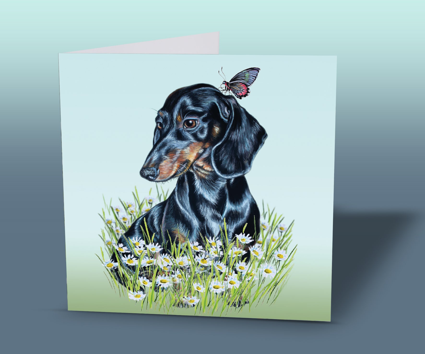 dachshund card