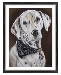 Dalmatian dog portrait commission