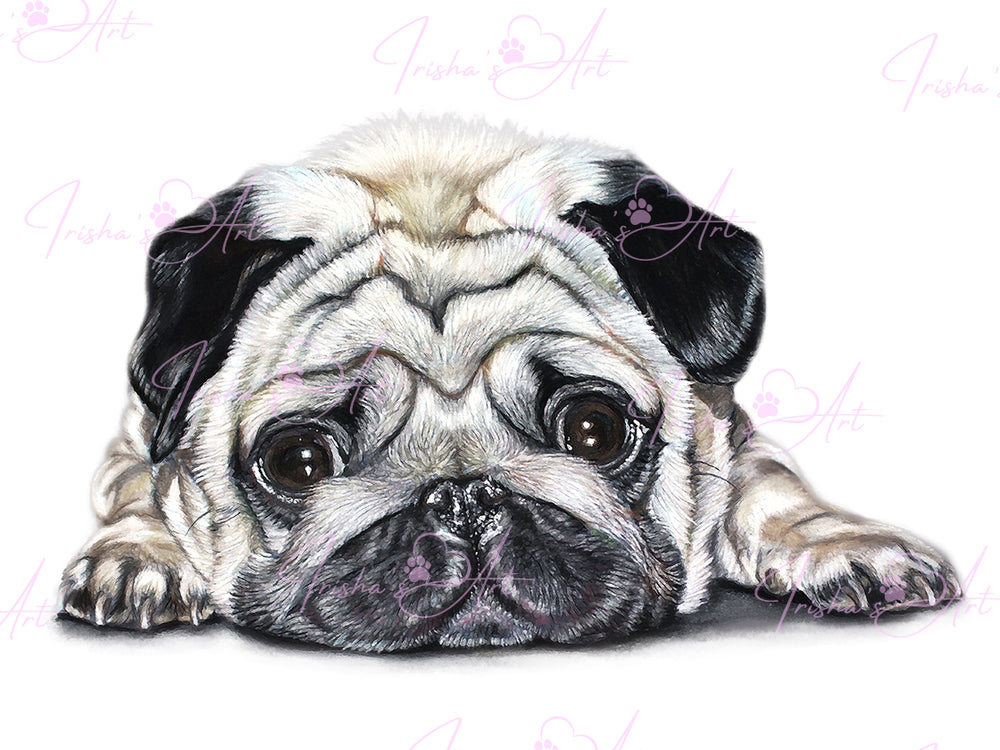 pug image digital download