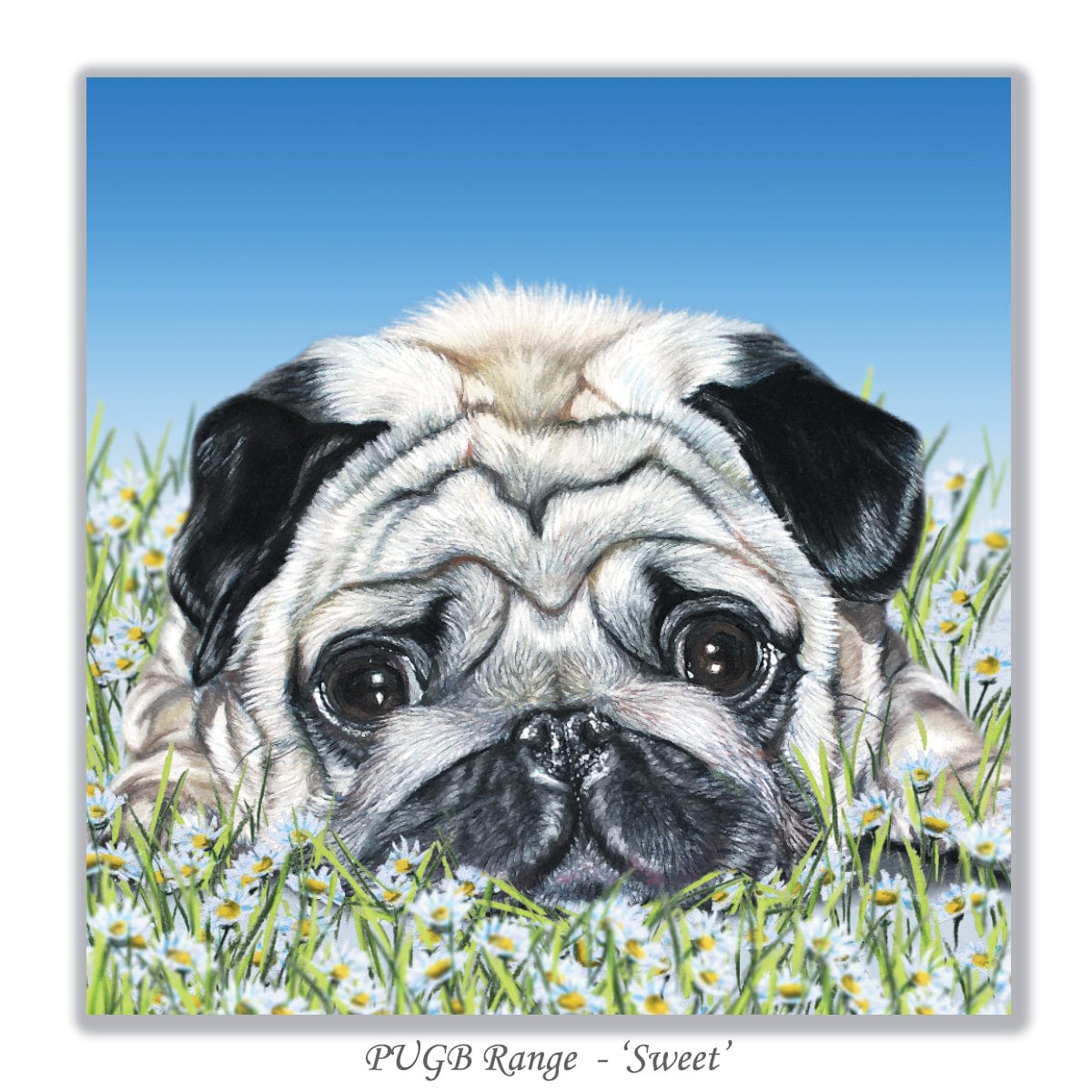 birthday card for a dog lover