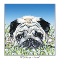 birthday card for a dog lover