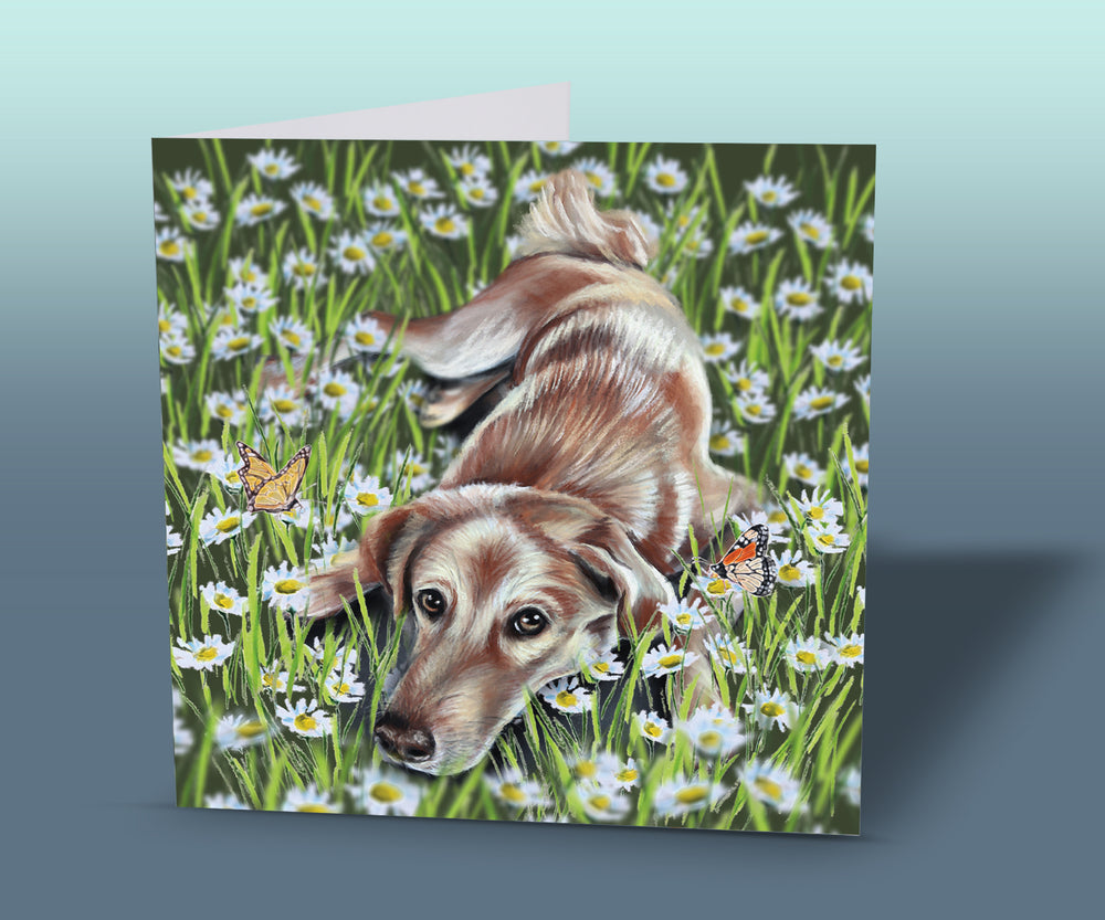 dog cards