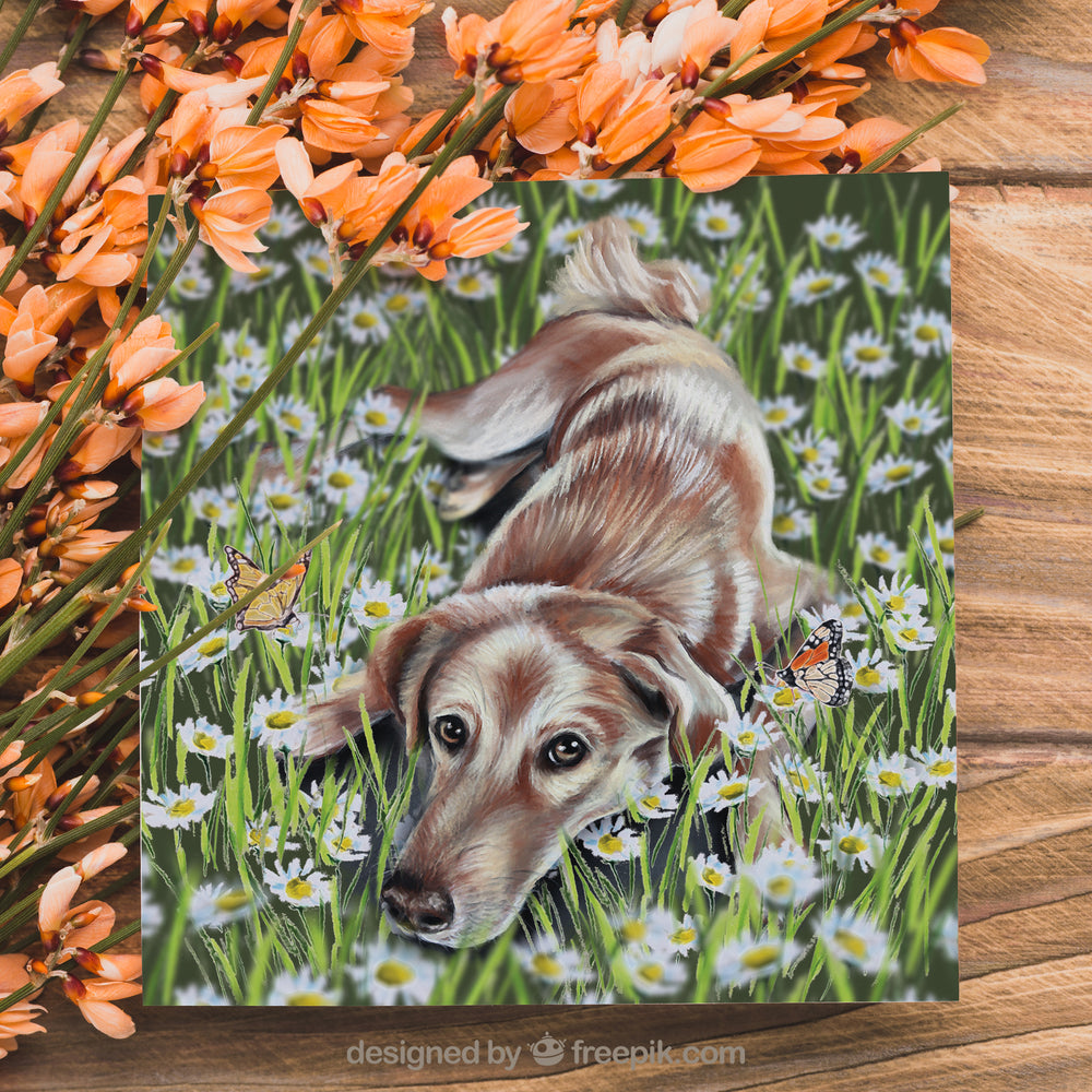 dog greeting card