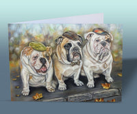 english bulldogs card