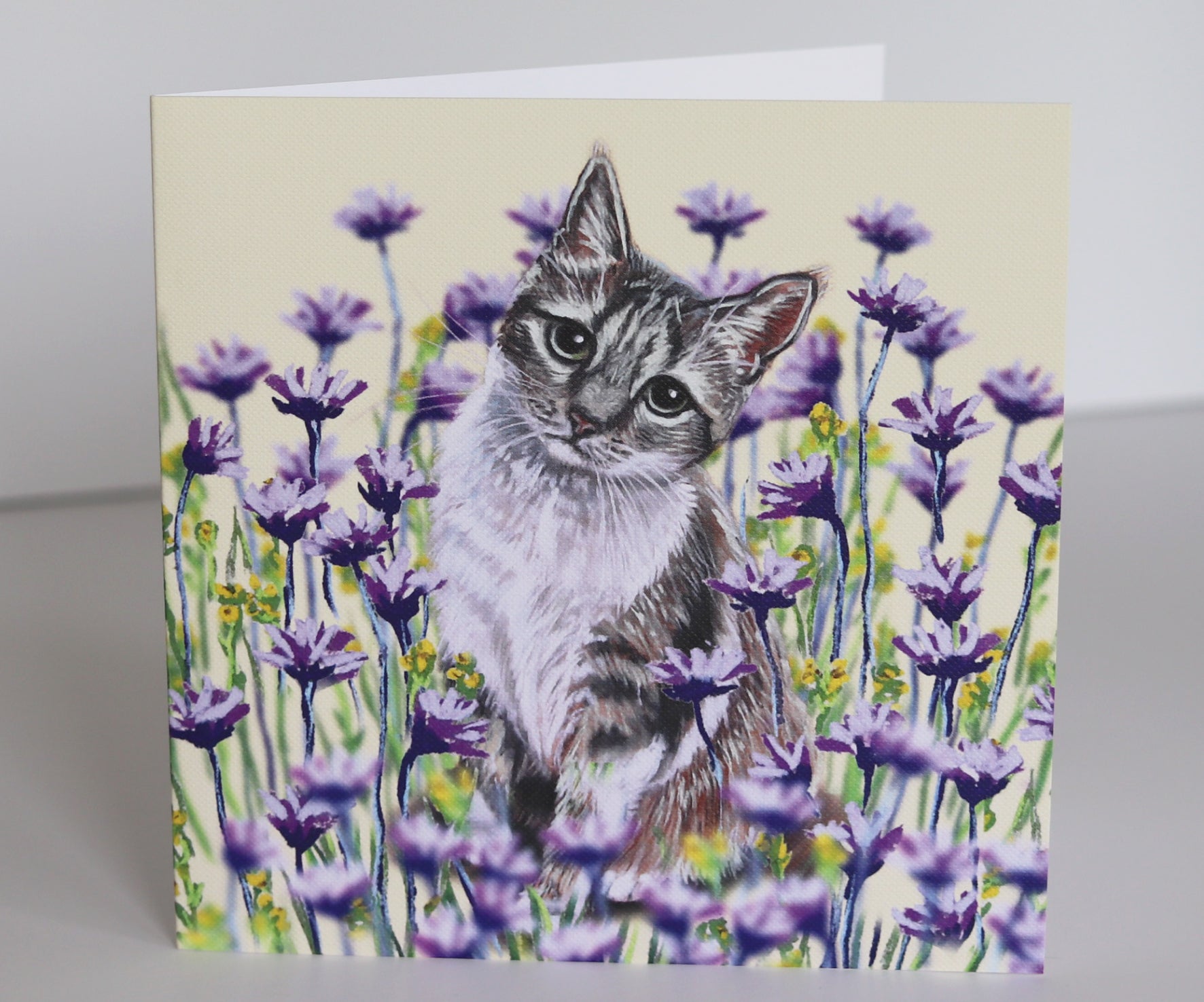 cat greeting card