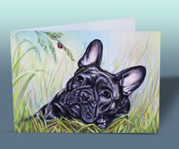 french bulldog birthday card