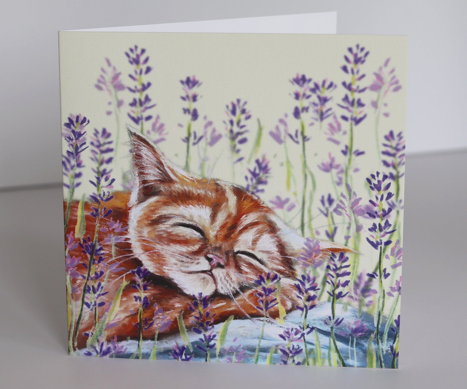 ginger cat birthday card