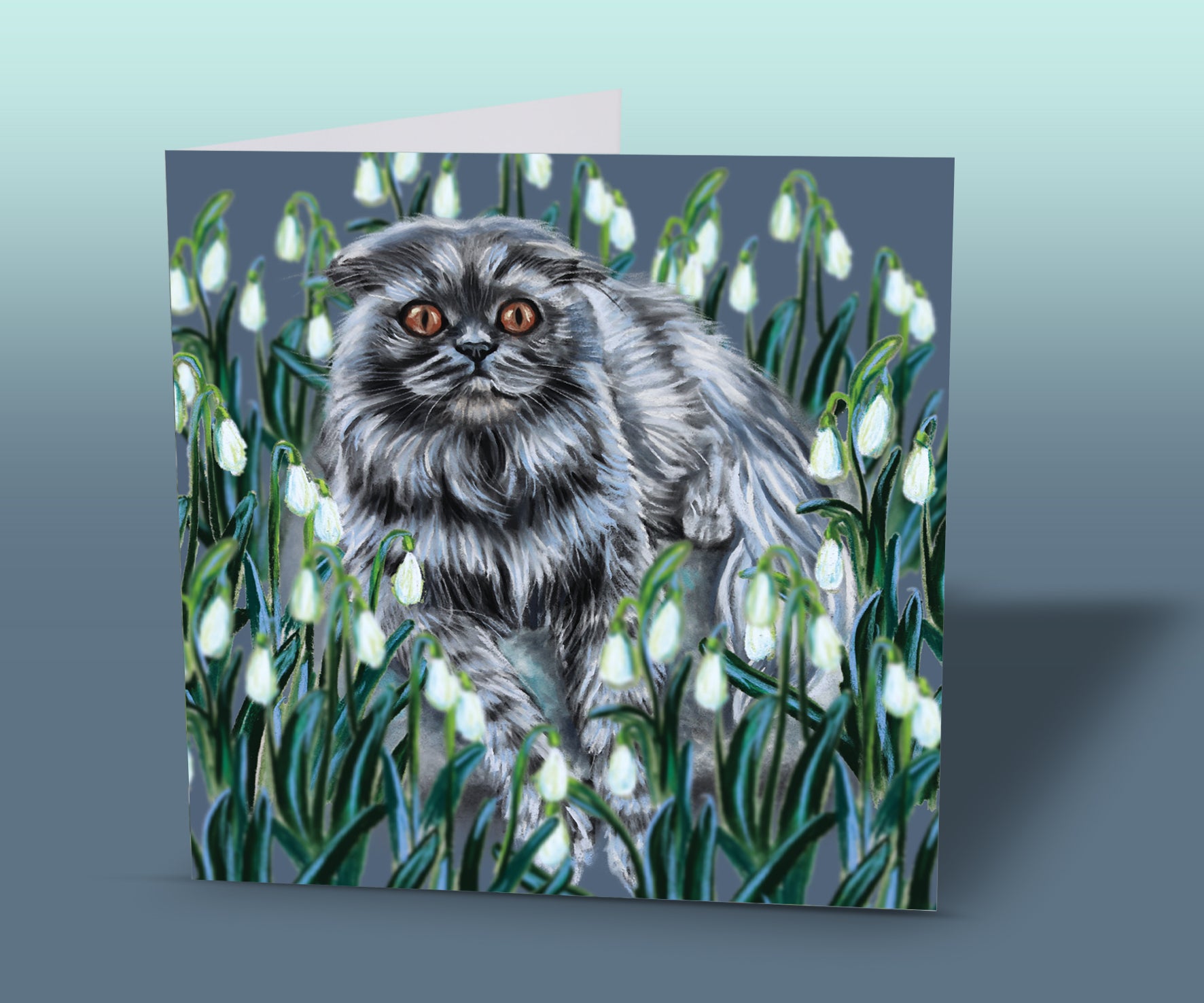 grey cat birthday card