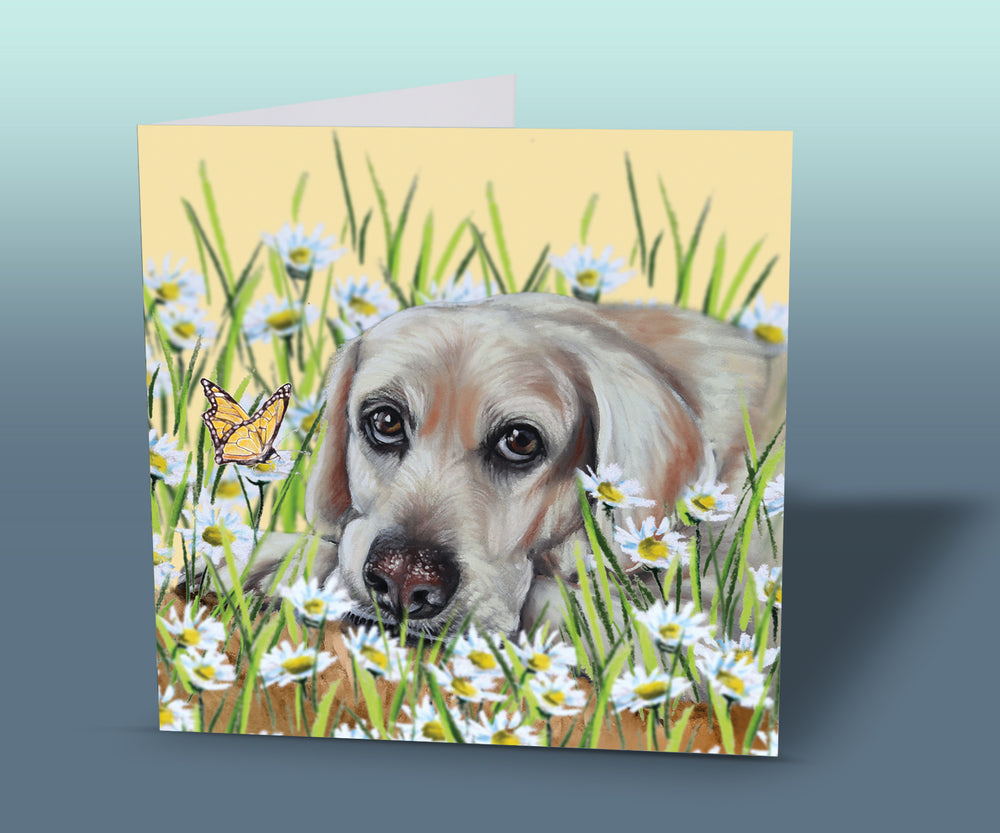 labrador card